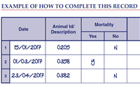 4 Animal Mortality and Significant Health Issues Record (Blank Template)